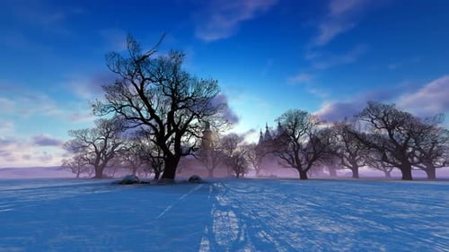 Winter Park