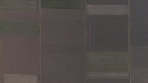 Vue Drone d'un champ agricole cultivé séparé par des carrés