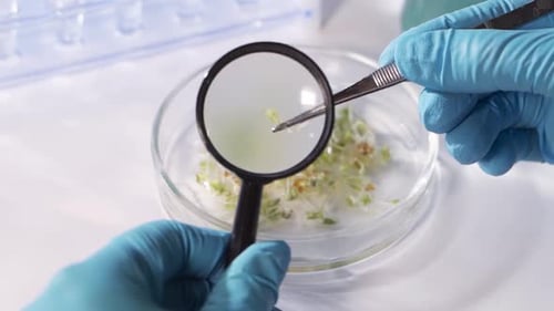 Close up of Scientist Examining Sample with Magnifying Glass