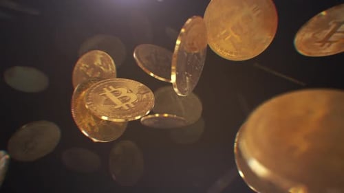 Bitcoin-Duschschleife