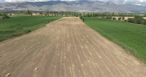 Fly Over Wheat Field