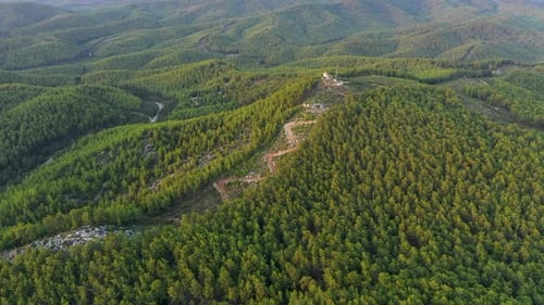 Mysterious Trail in the Forest Filmed on a Drone