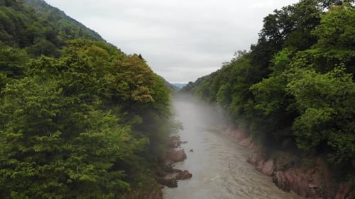 Up view of the river with fog.
