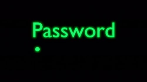 Entering password on computer. Green inscription and 8 digit parole.