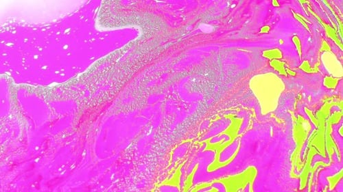 Abstract Neon Paint Swirls Background