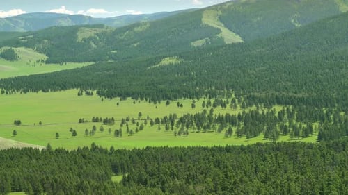 Grüne Wiesen im spärlich bewaldeten zwischen waldbedeckten Hügeln