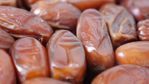 Exotic Phoenix dactylifera Arabic fruit 4K 2160p 30fps UltraHD tilting footage - Close-up palm date