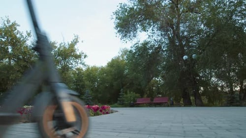 Mann fährt im Sommer auf einem Elektronisch Roller entlang eines Pfades im Park um das Blumenbeet Rückansicht