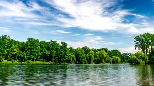 Green Urban Park.