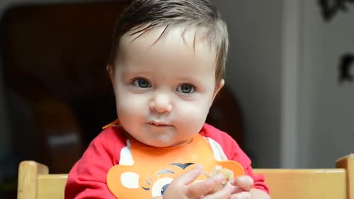 Baby boy eating bread