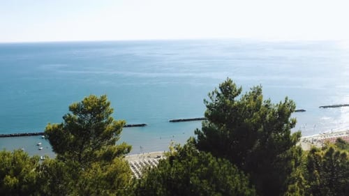 Drone Rising Above Trees on Hill To Reveal Epic Summer Sea Coast Landscape, Sandy Beach with Beach