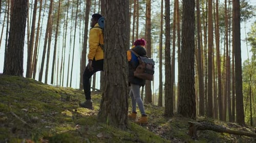 Afroamerican Couple Hiking Trekking in Forest with Backpacks Enjoying Their Adventure Tourism