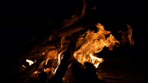 Camp Fire (4K)