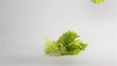 Lettuce Falls on White Gray Surface