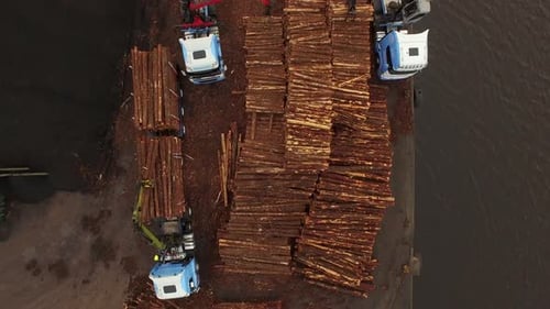 Forestry and logging operations taking place in the highlands of Scotland using large industrial mac