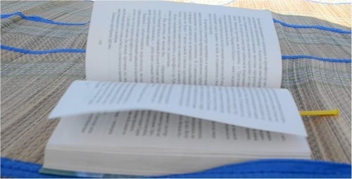 Book Pages Turning on a Summer Day