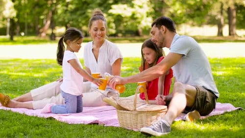 Happy Family Drinking Juice on Picnic at Park