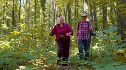 Active Senior Couple Hiking Through a Green Forest