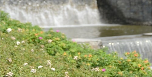 Mountain Stream 19