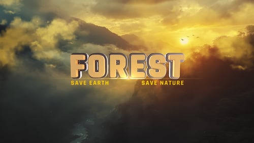 The Forest I Title Opener