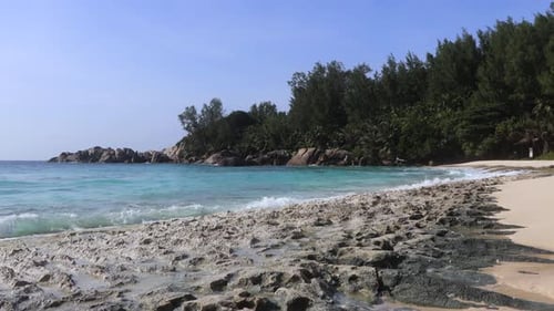 Wilder leerer Strand