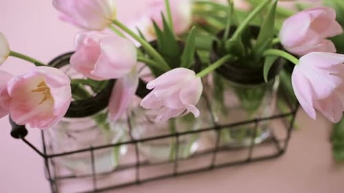 Arranging Pink Tulips in Jars for Display