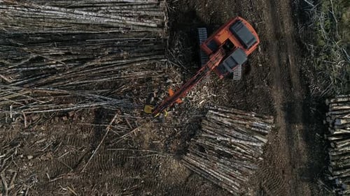 Top down aerial view of Harvester Cutting Tree Trunk in field near the forest 10