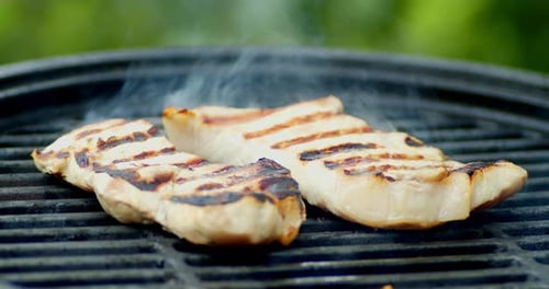 Grilled Meat Cooking on a Barbecue Grill
