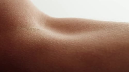 Close Up of An Adult's Arm