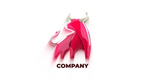 Logo Reveal