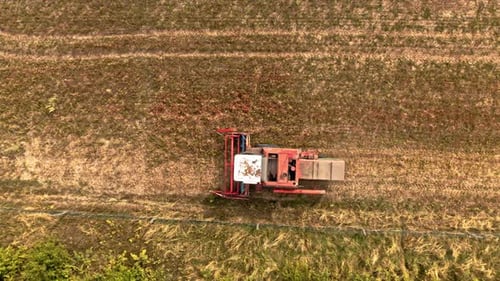 Aerial view of combine harvesting field in summer