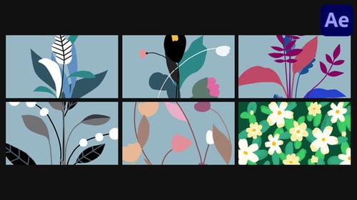 Flower Animated Backgrounds | After Effects