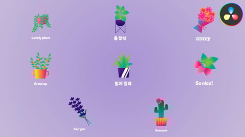 Flora Animations for DaVinci Resolve