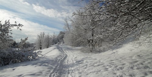 Sunny Winter Day