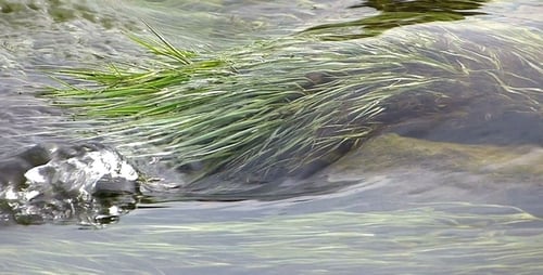 Spring Changes in Water Bodies 2