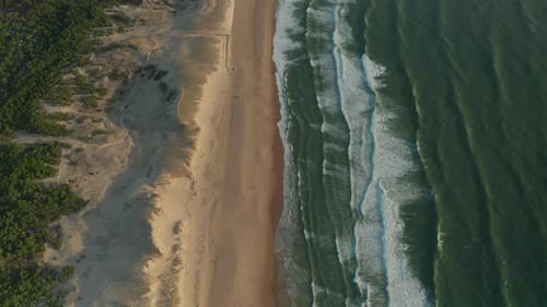 Tropical Beach with Dunes, Brown Sand and Green Ocean at Sunset, Aerial Birds Eye View Top Shot