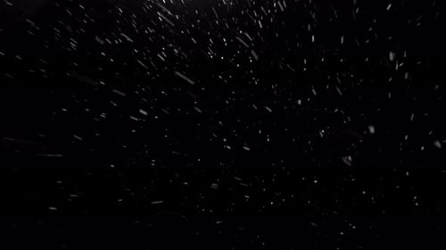 Natural Snow Particles. Black Background