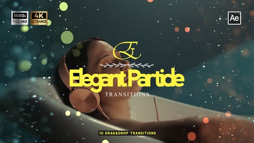 Elegant Particle Transitions