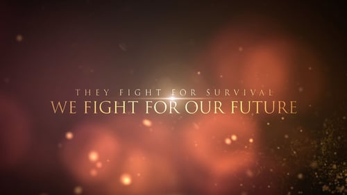 Cinematic Trailer Titles