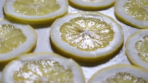 Zitronenscheiben Nahaufnahme Obst Draufsicht