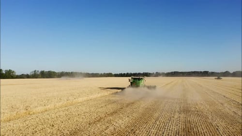 Combine Harvesting Wheat Top View of a Wheatfield