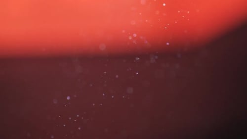 Dust particles moving in sunlight