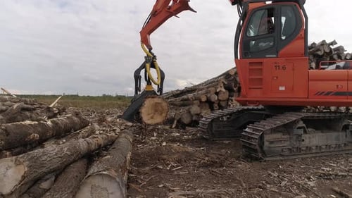 Luftaufnahme der Erntemaschine, die Baumstamm auf einem Feld in der Nähe des Waldes schneidet