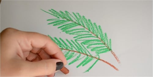 Drawing Pine Branches with Pastels on Paper