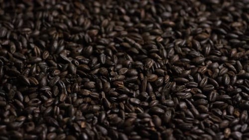 dose rotativa de cevada e outros ingredientes de fabricação de cerveja - BEER BREWING