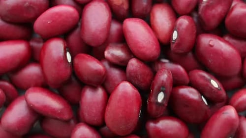 Pile of Red Kidney Beans Close-up Macro Shot