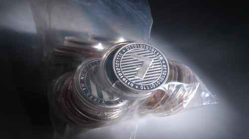 Différents types de cryptomonnaies