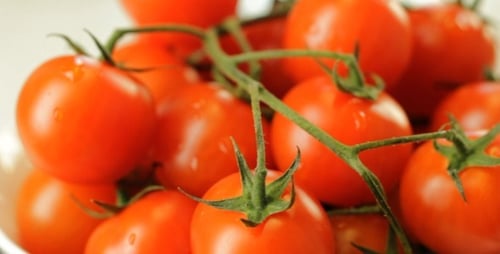 Fresh Cherry Tomatoes in a Bowl