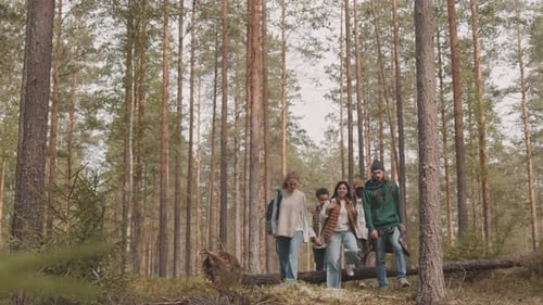Group of Friends Walking in Forest