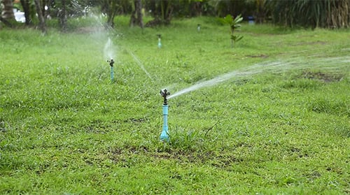 Lawn Watering